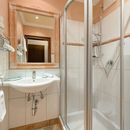 Hotel Alpen Rieder 3*